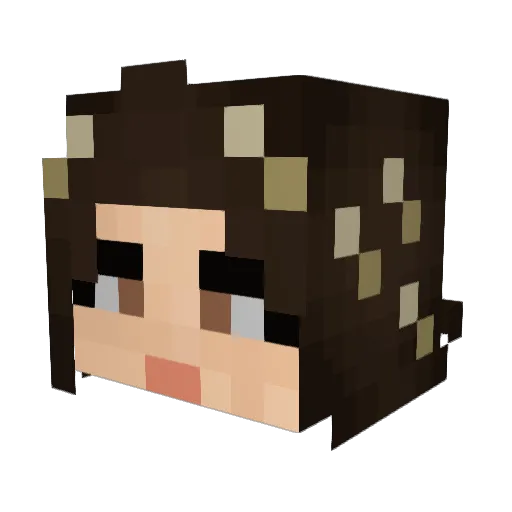 Avanaar Minecraft avatar head, 3D render