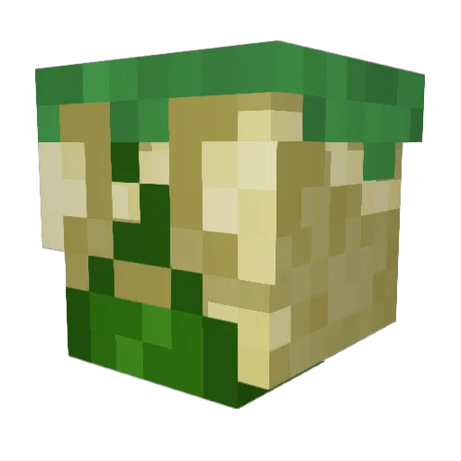AvantCor Minecraft avatar head, 3D render