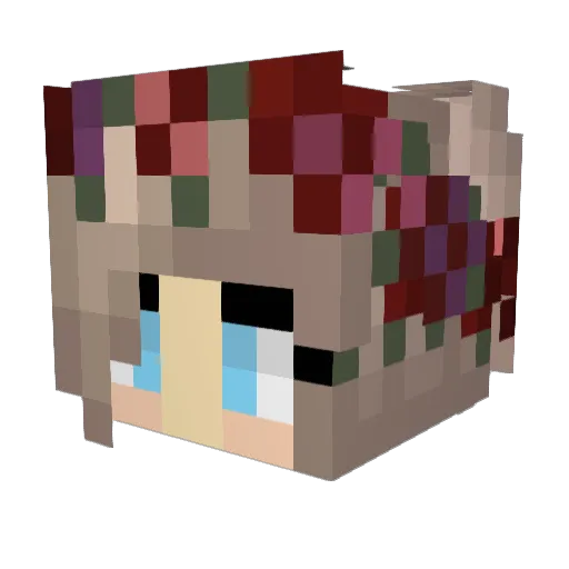 AvaplaysMC18 Minecraft avatar head, 3D render