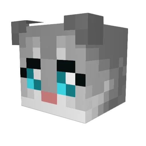 Avarockstar2007 Minecraft avatar head, 3D render