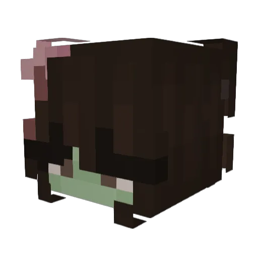 Avarosemary Minecraft avatar head, 3D render