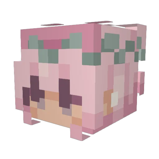 Avarybubbles Minecraft avatar head, 3D render