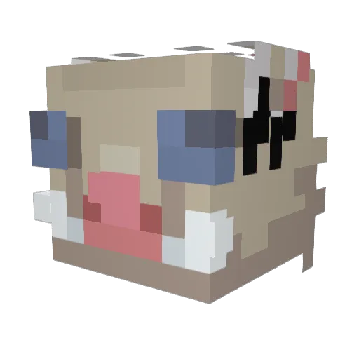 Avatar_Kora Minecraft avatar head, 3D render