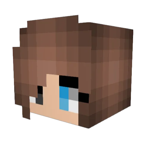 Avathecat Minecraft avatar head, 3D render