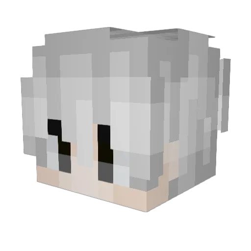 AveAvico Minecraft avatar head, 3D render