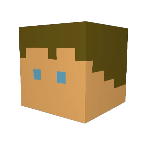 Aveja007 Minecraft avatar head, 3D render