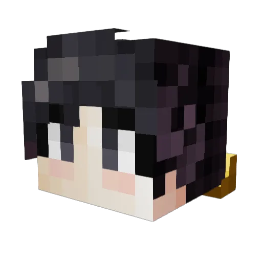 Avelosky14 Minecraft avatar head, 3D render