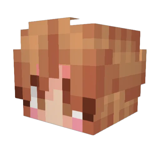 Avem7 Minecraft avatar head, 3D render