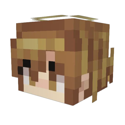 Aven1 Minecraft avatar head, 3D render