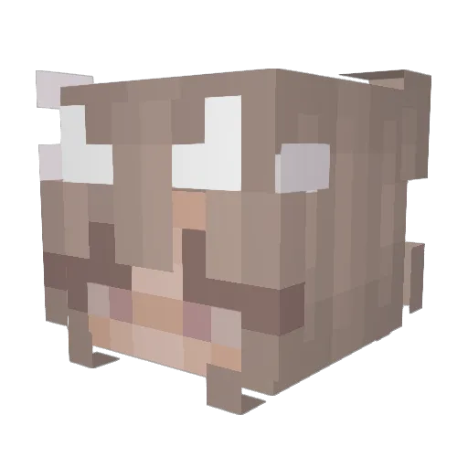 Avena88 Minecraft avatar head, 3D render