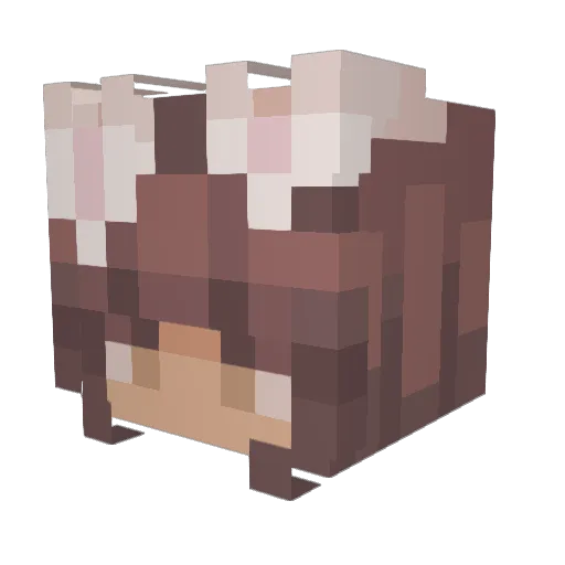 Avenly2 Minecraft avatar head, 3D render