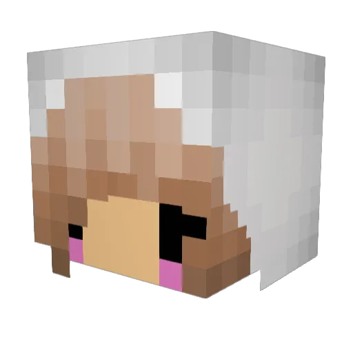 Aventyr_yui Minecraft avatar head, 3D render