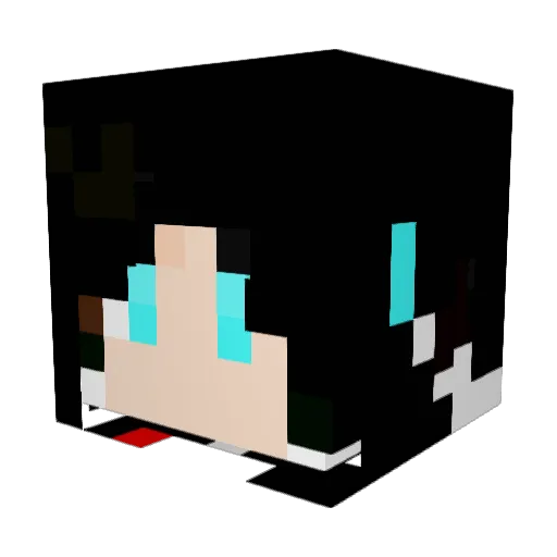 AvenueMASTER Minecraft avatar head, 3D render