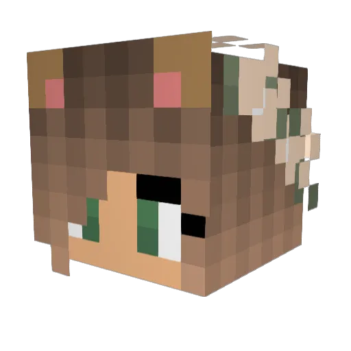 Avenxogae Minecraft avatar head, 3D render