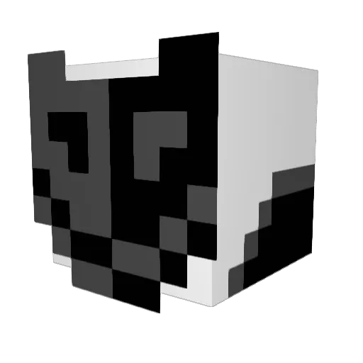 AverageAsian0 Minecraft avatar head, 3D render