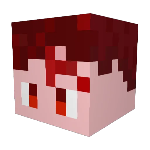 AverageBread821 Minecraft avatar head, 3D render