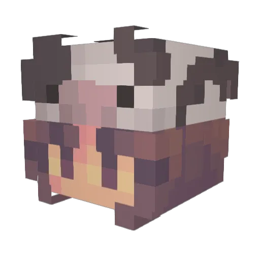 AverageCafe2678 Minecraft avatar head, 3D render