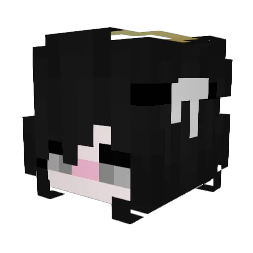 AverageChinese Minecraft avatar head, 3D render