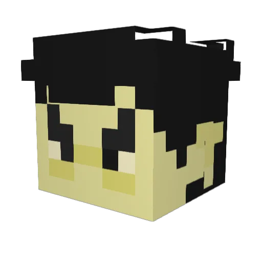 AverageEnjoyer__ Minecraft avatar head, 3D render