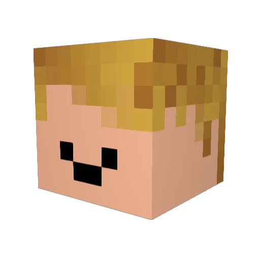 AverageGeff Minecraft avatar head, 3D render
