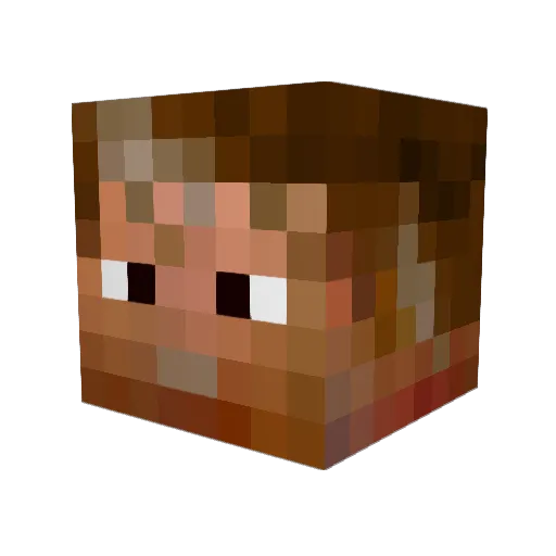 AverageHobo Minecraft avatar head, 3D render