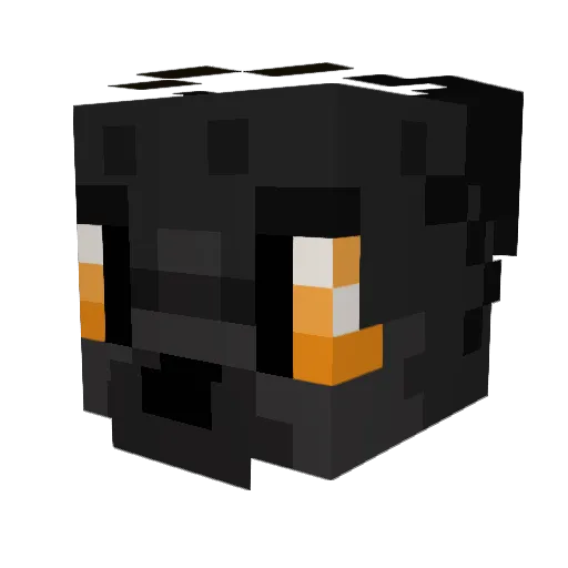 AverageJet38575 Minecraft avatar head, 3D render