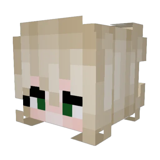 AverageKatze Minecraft avatar head, 3D render