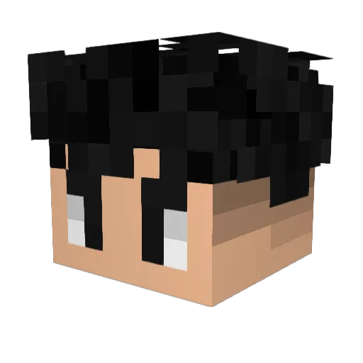 AverageTurtle Minecraft avatar head, 3D render