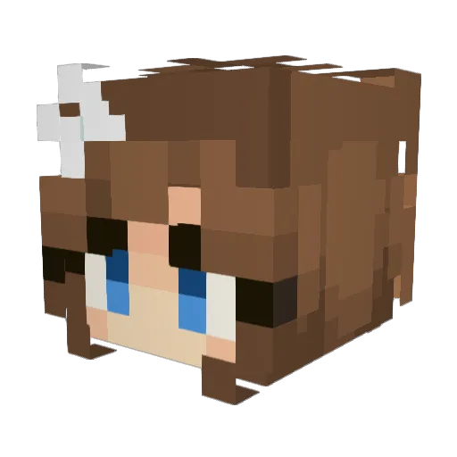 Average_Loner Minecraft avatar head, 3D render