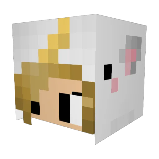 Average_Savage Minecraft avatar head, 3D render