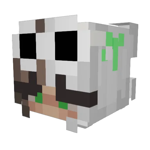 AveryAsher Minecraft avatar head, 3D render