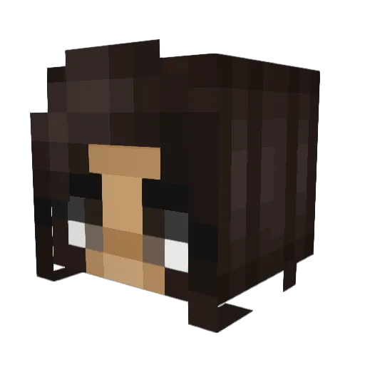 AveryBuchanan24 Minecraft avatar head, 3D render