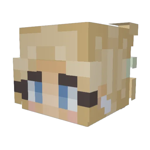 AveryIslander Minecraft avatar head, 3D render