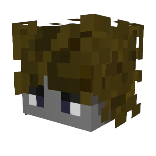 AveryOST Minecraft avatar head, 3D render