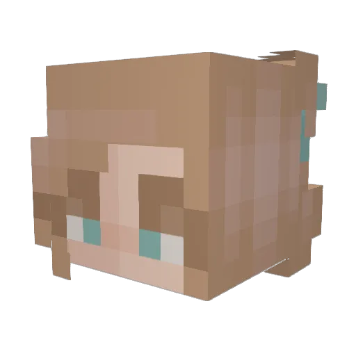 AveryPlays17 Minecraft avatar head, 3D render