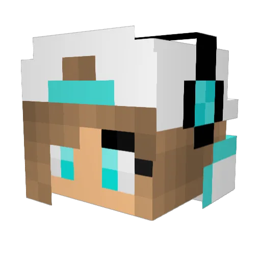 Averyjoy2011 Minecraft avatar head, 3D render