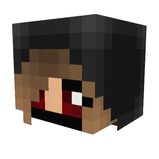 Averyy6 Minecraft avatar head, 3D render