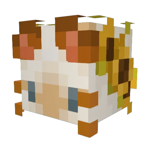 Avesfelidae Minecraft avatar head, 3D render