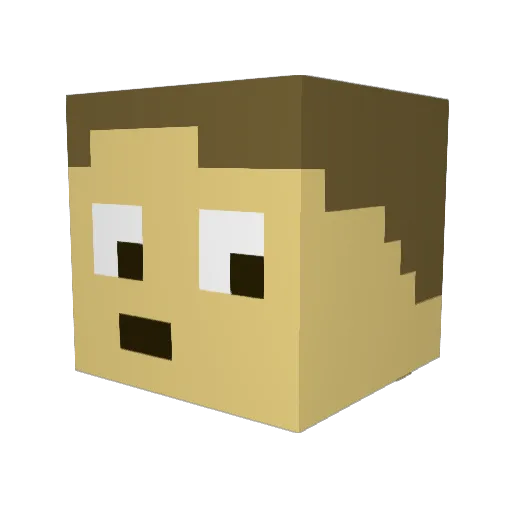 AvgCaveDweller Minecraft avatar head, 3D render