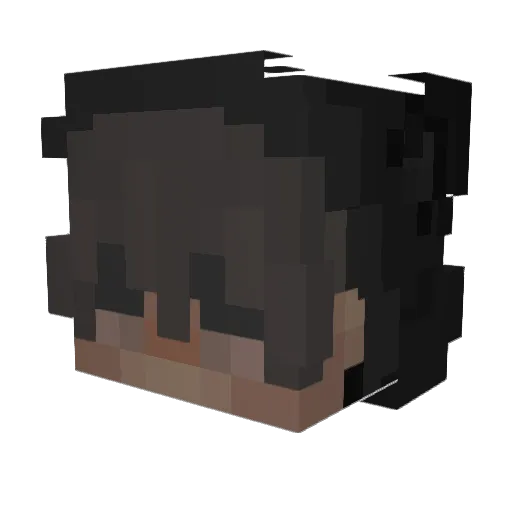 AvgRei Minecraft avatar head, 3D render