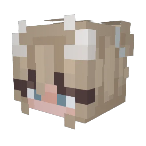 Avi197 Minecraft avatar head, 3D render