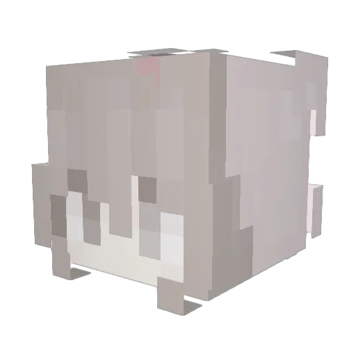Aviaela Minecraft avatar head, 3D render