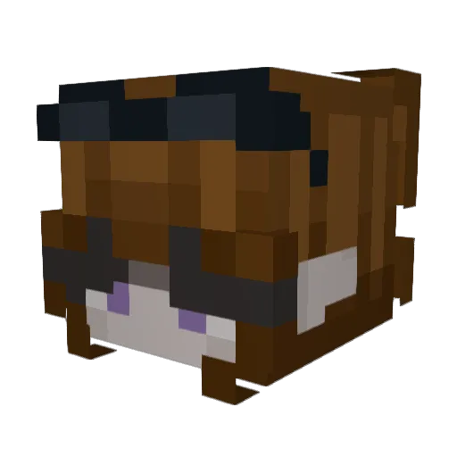 AvianGlitter84 Minecraft avatar head, 3D render