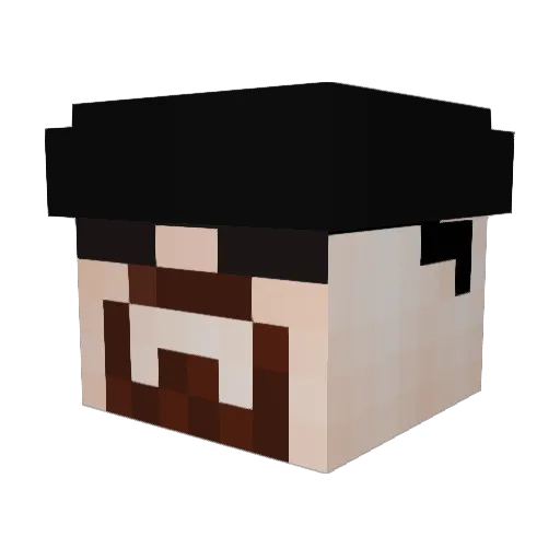 AvianShadow Minecraft avatar head, 3D render