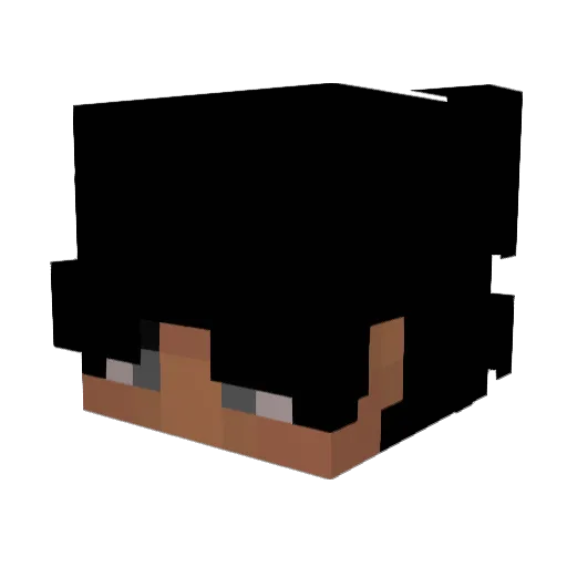Avian_Mavian Minecraft avatar head, 3D render