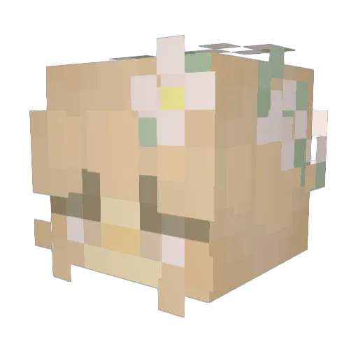 Aviana23 Minecraft avatar head, 3D render
