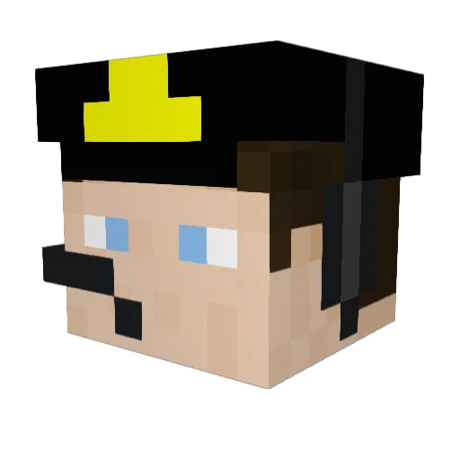 Aviation5000 Minecraft avatar head, 3D render