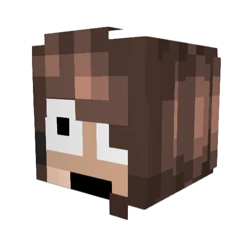 Aviations Minecraft avatar head, 3D render