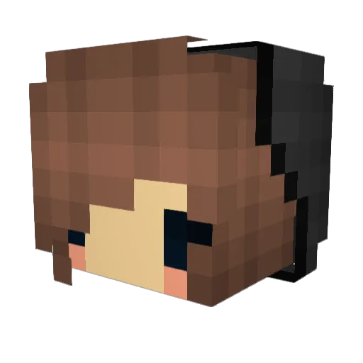 Aviatorfun8 Minecraft avatar head, 3D render