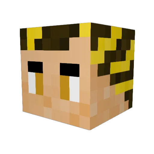 Aviatorpanic Minecraft avatar head, 3D render